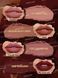 Набір матових помад SHEGLAM Dynamatte Boom - Ember Rose Set 5616 фото 3