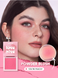 Пудровые румяна SHEGLAM Love Dive Tender Heart Powder Blush - You're Peachy 6103 фото 1