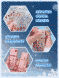 Подарочный набор Sheglam Festive Glow Gift Set-Rose Ritual & Glass Heart 5550 фото 6