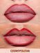 Карандаш для губ SHEGLAM Lip Facts Lip Liner &mdash; Cosmopolitan 5816 фото 4