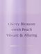 Парфумований міст для тіла Victoria's Secret Love Spell 250 мл 0000030 фото 2