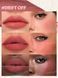 Румяна и помада 2-в-1 SHEGLAM Air Plush Lip & Cheek -402 Drift Off 6018-402 фото 4
