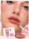 Румяна и помада 2-в-1 SHEGLAM Air Plush Lip & Cheek -402 Drift Off 6018-402 фото 3