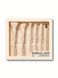 Набір пензлів для макіяжу SHEGLAM Pro Core Brush Kit 6 шт. 5634 фото 2