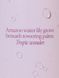 Парфумований спрей Victoria`s Secret Lush Starfruit Lotus Body Mist USA 0000092 фото 2